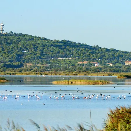 Appartement Hameau De Pech I-2 By Interhome